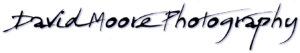 david-moore-logo
