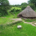arial-view-of-coam-roundhouse